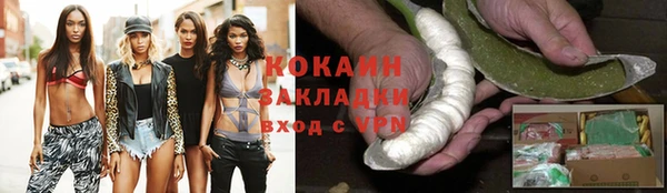 молекула духа Заволжье