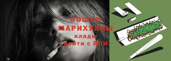 молекула духа Заволжье