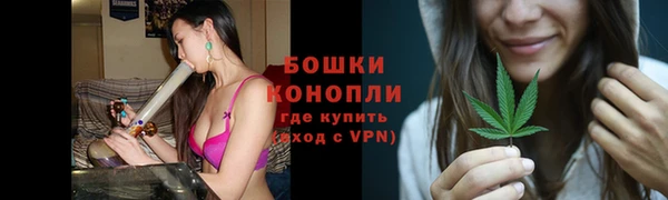 гидропоника Елабуга