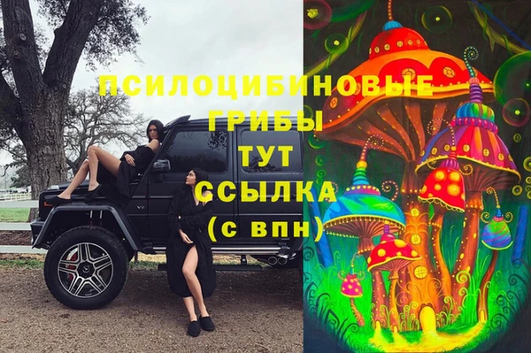 спайс Заволжск