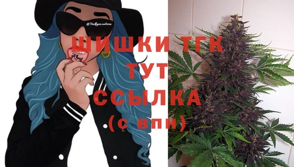 прущая мука Ельня