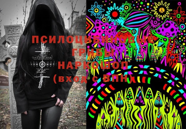 молекула духа Заволжье