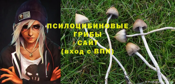 спиды Елизово
