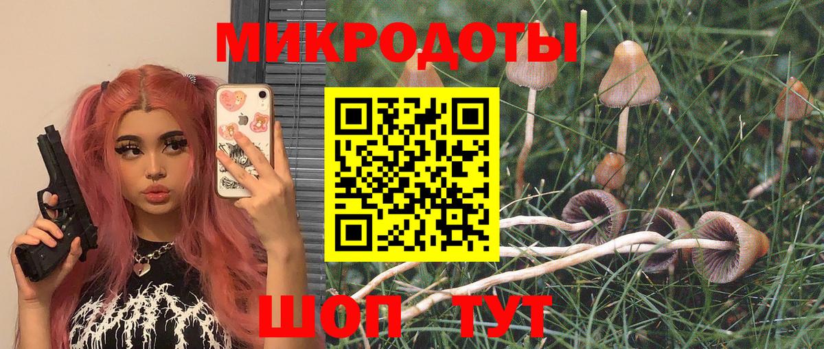 Бошки Шишки Избербаш
