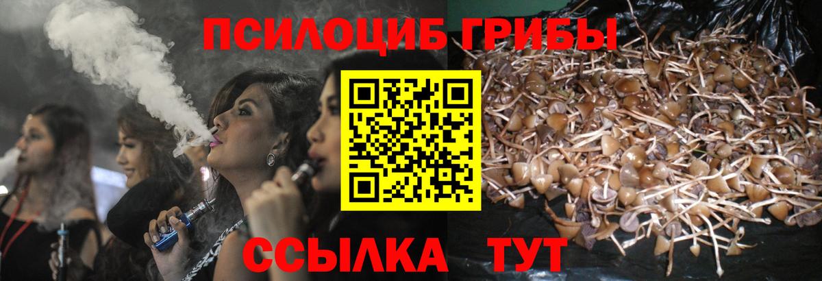 Избербаш  Галлюциногенные грибы Psilocybine cubensis  Вход с VPN 