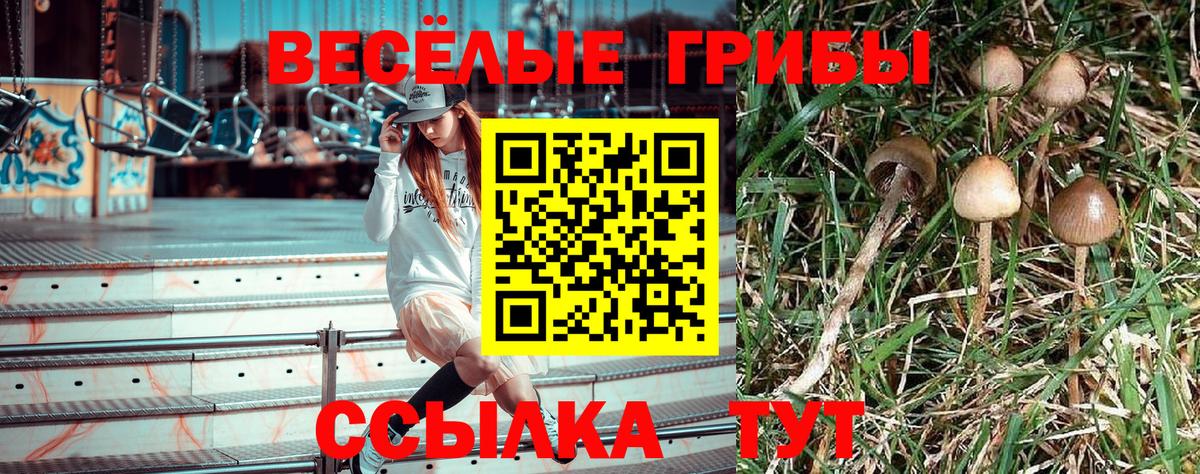 Галлюциногенные грибы ЛСД Избербаш
